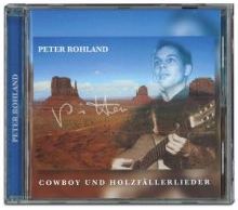Gitarrenspieler vor einer Wüstenlandschaft mit blauem Himmel